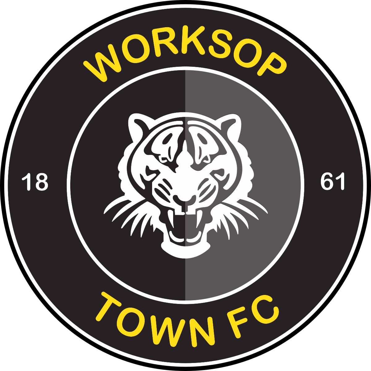 Workshop Town FC Logo